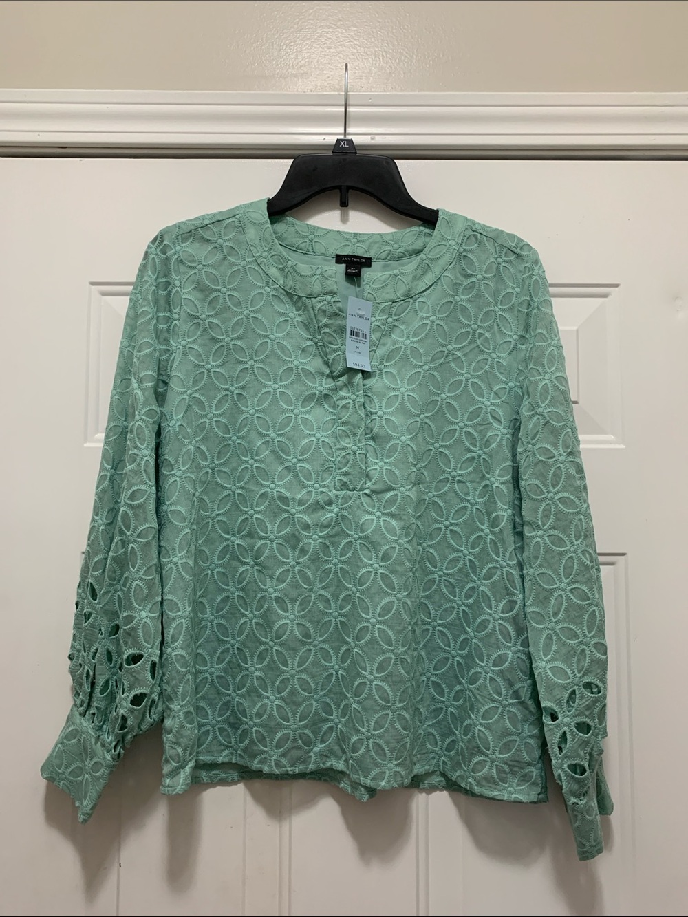 NWT Ann Taylor Mint Green Eyelet Button-Notch Long Sleeve Blouse Size Medium Pet